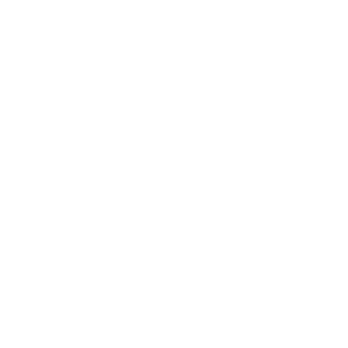 Successful Surgeries +
